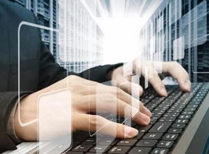 海归就业不敌土著 真才实学的迷思与软件辅助设备的反思